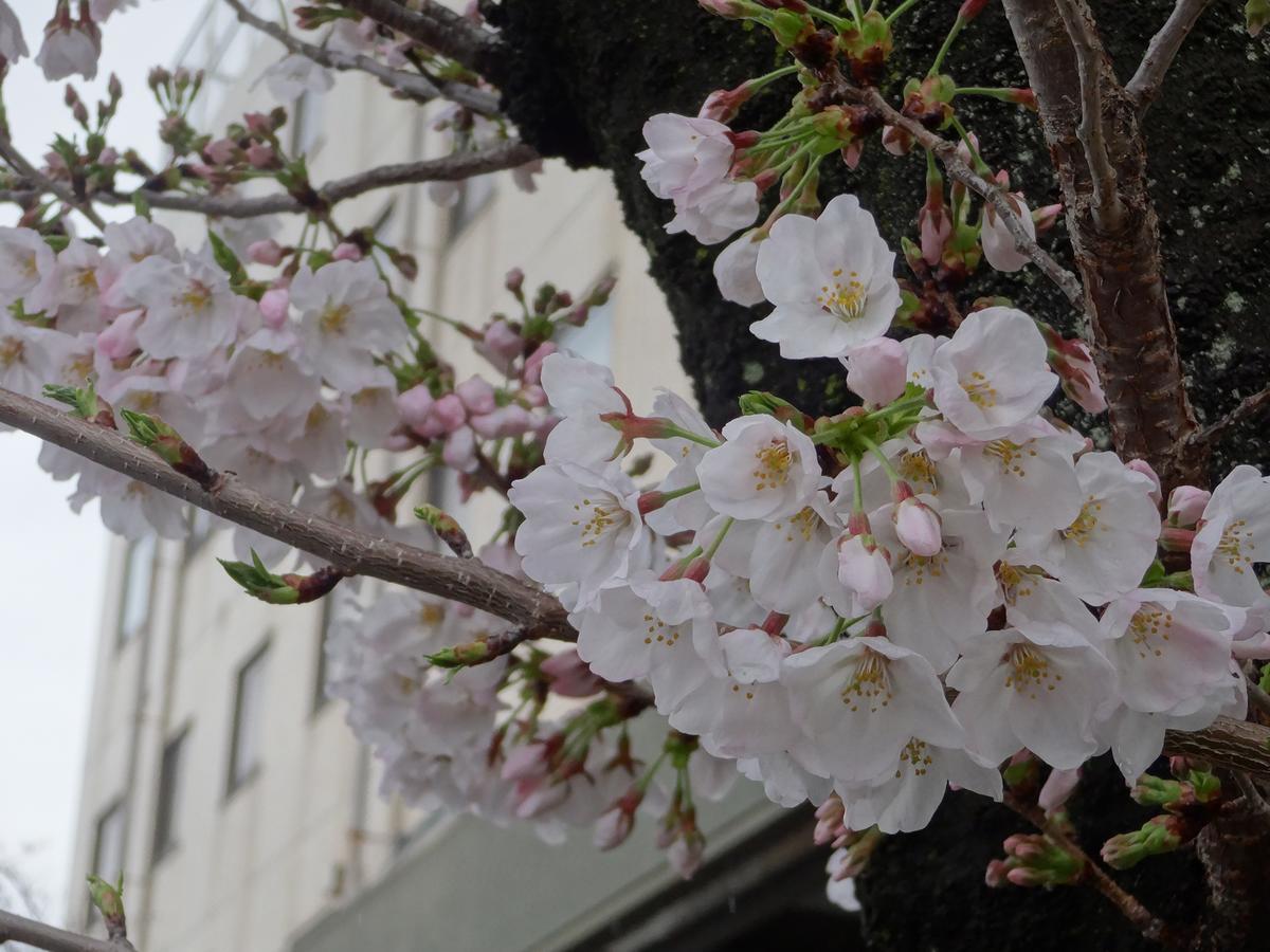 Hamakita Plaza Hotel 滨松 外观 照片