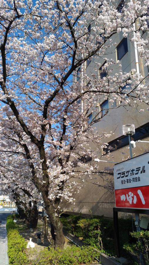 Hamakita Plaza Hotel 滨松 外观 照片